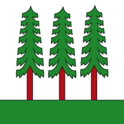 Wald (ZH)