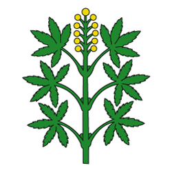 Wangen-Brüttisellen