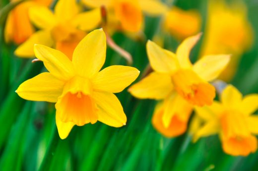 Ostern