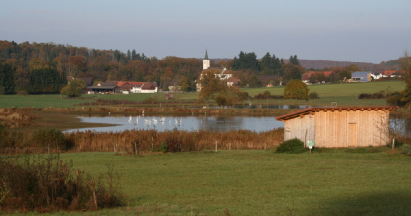 Fondation des marais de Damphreux