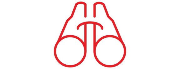 Vielseitige Einblicke