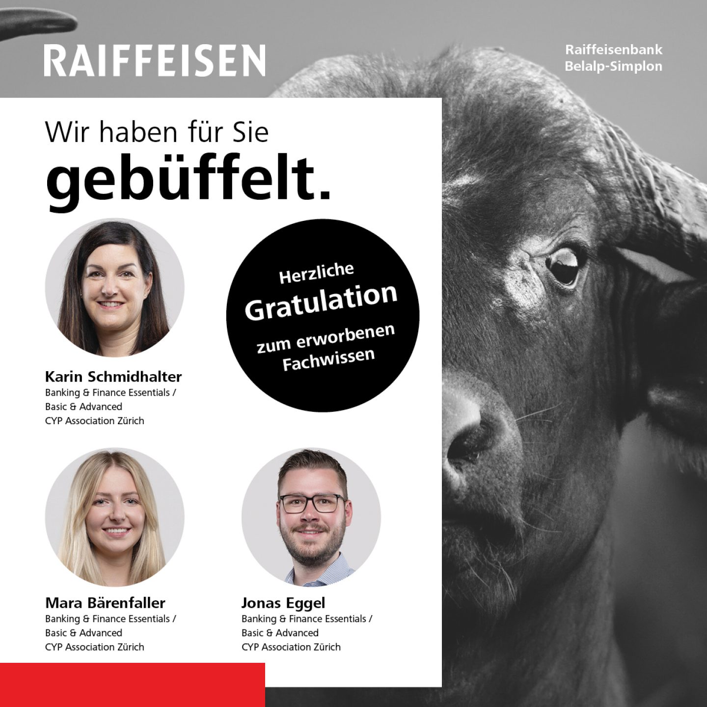 erworbenes Fachwissen