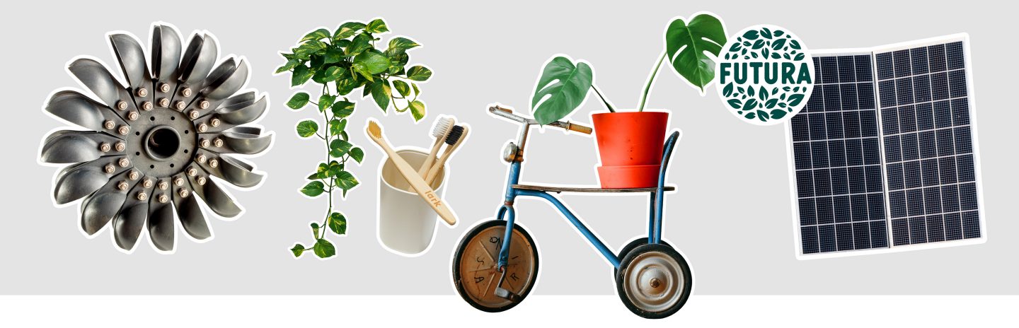 Schriftliche Abstimmung