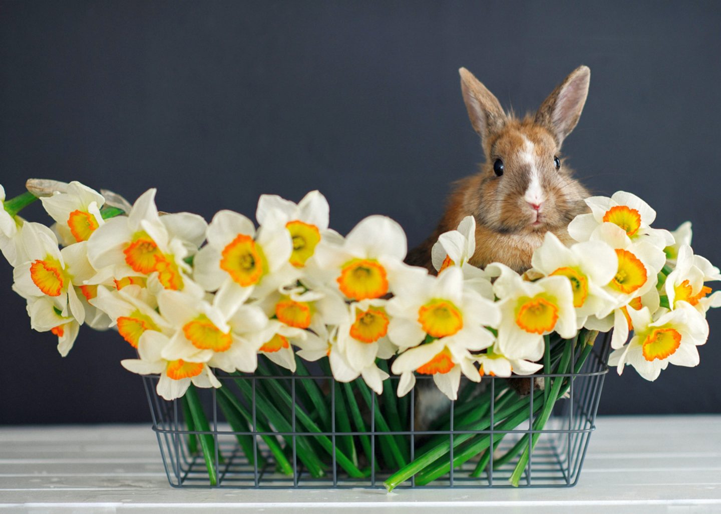 Ostern