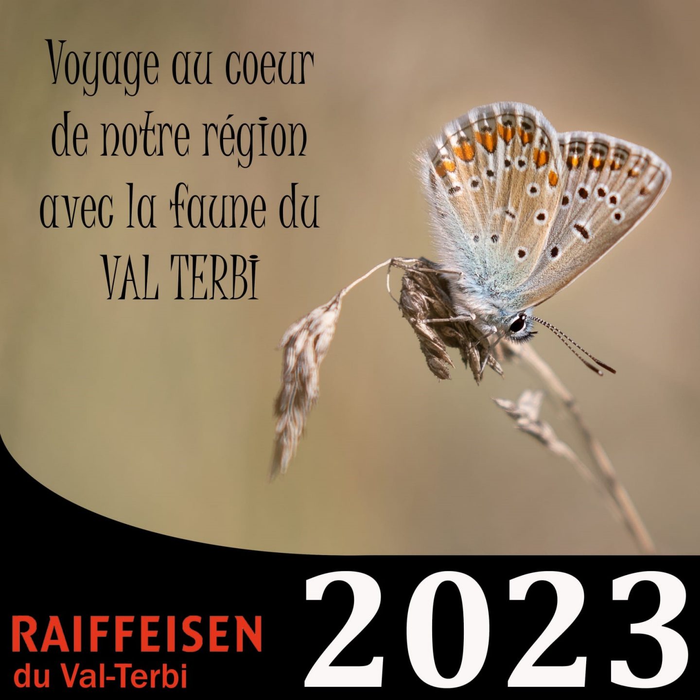 Calendrier 2023 de la Banque Raiffeisen du Val-Terbi