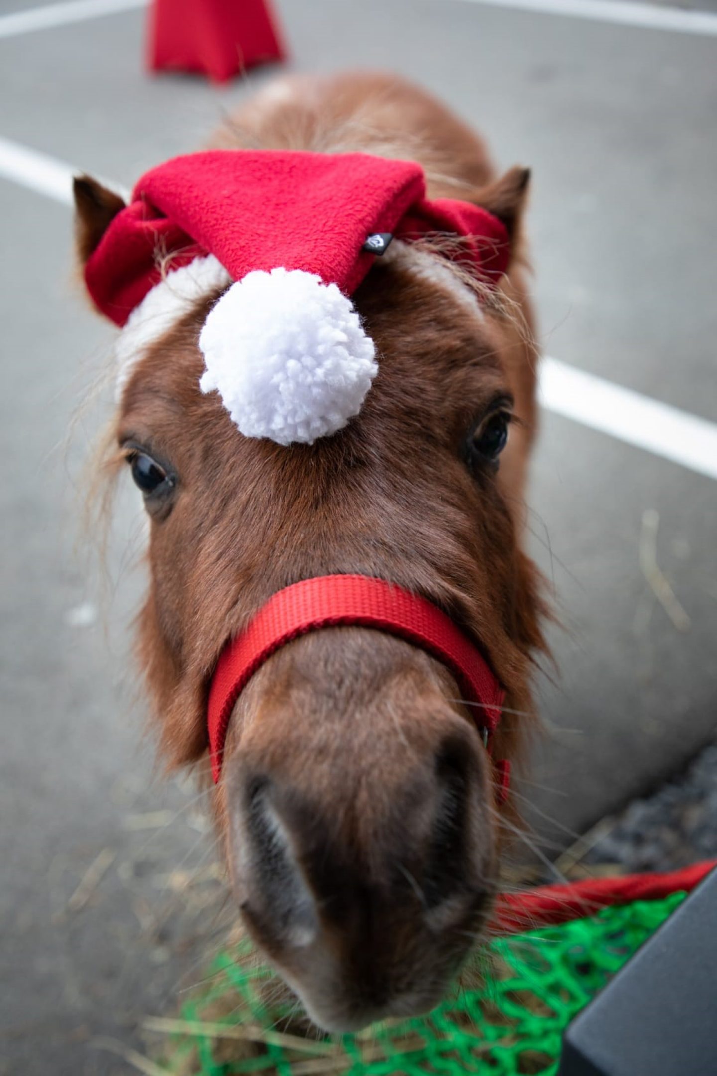 Fête de St-Nicolas 2022