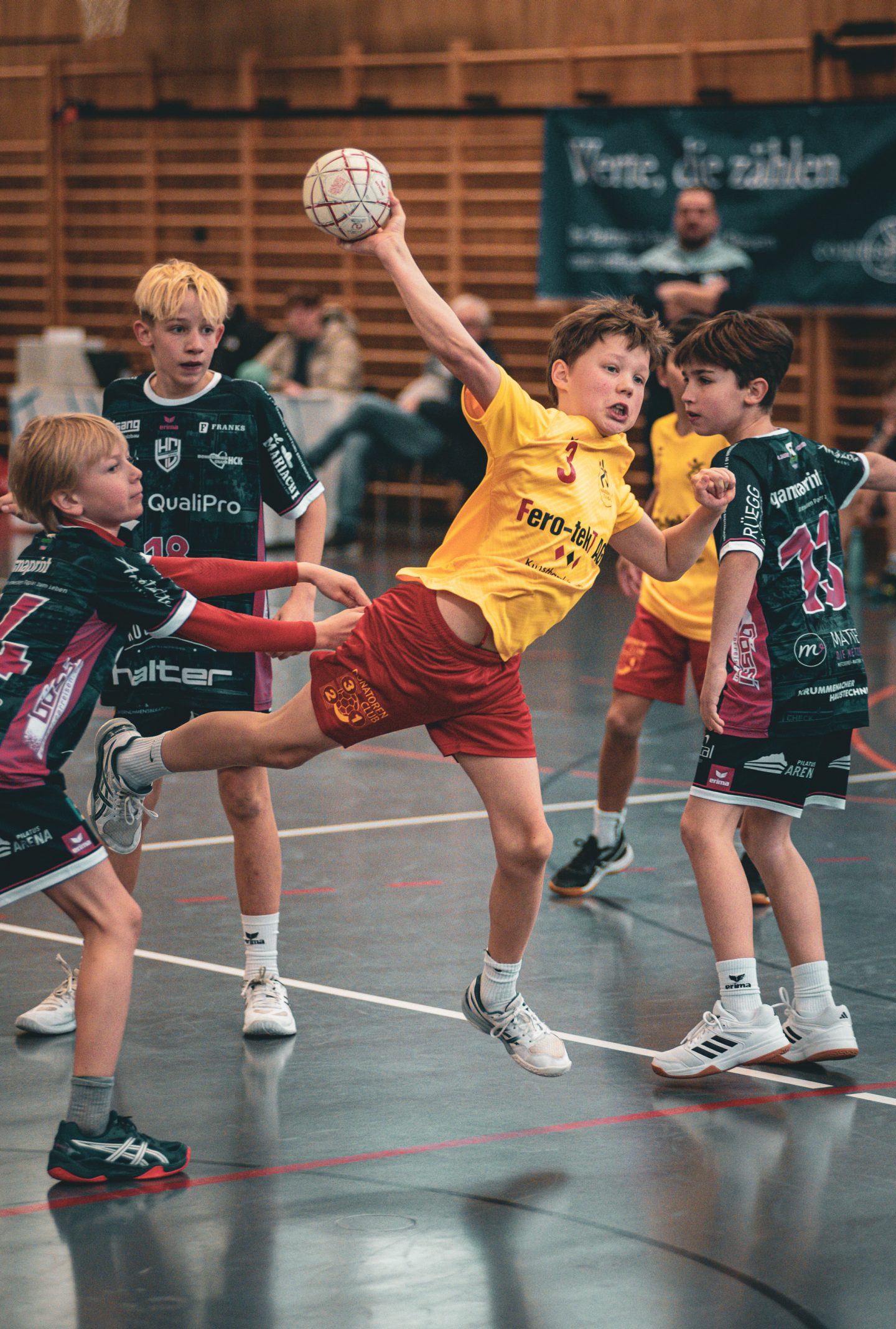 hanball tv horw