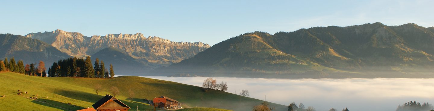 Nebelmeer Herbst