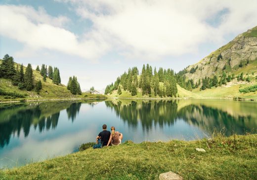 Wir brauchen Schweiz