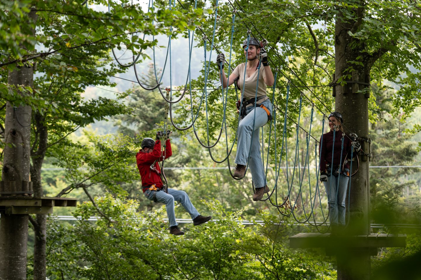 Bild Waldseilpark