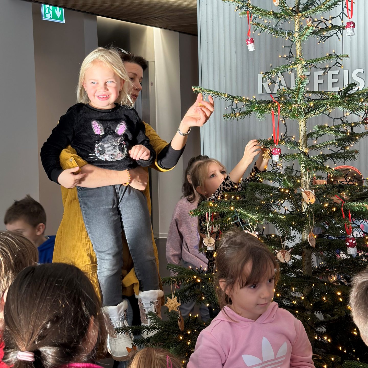 Weihnachtsbaum in Möhlin