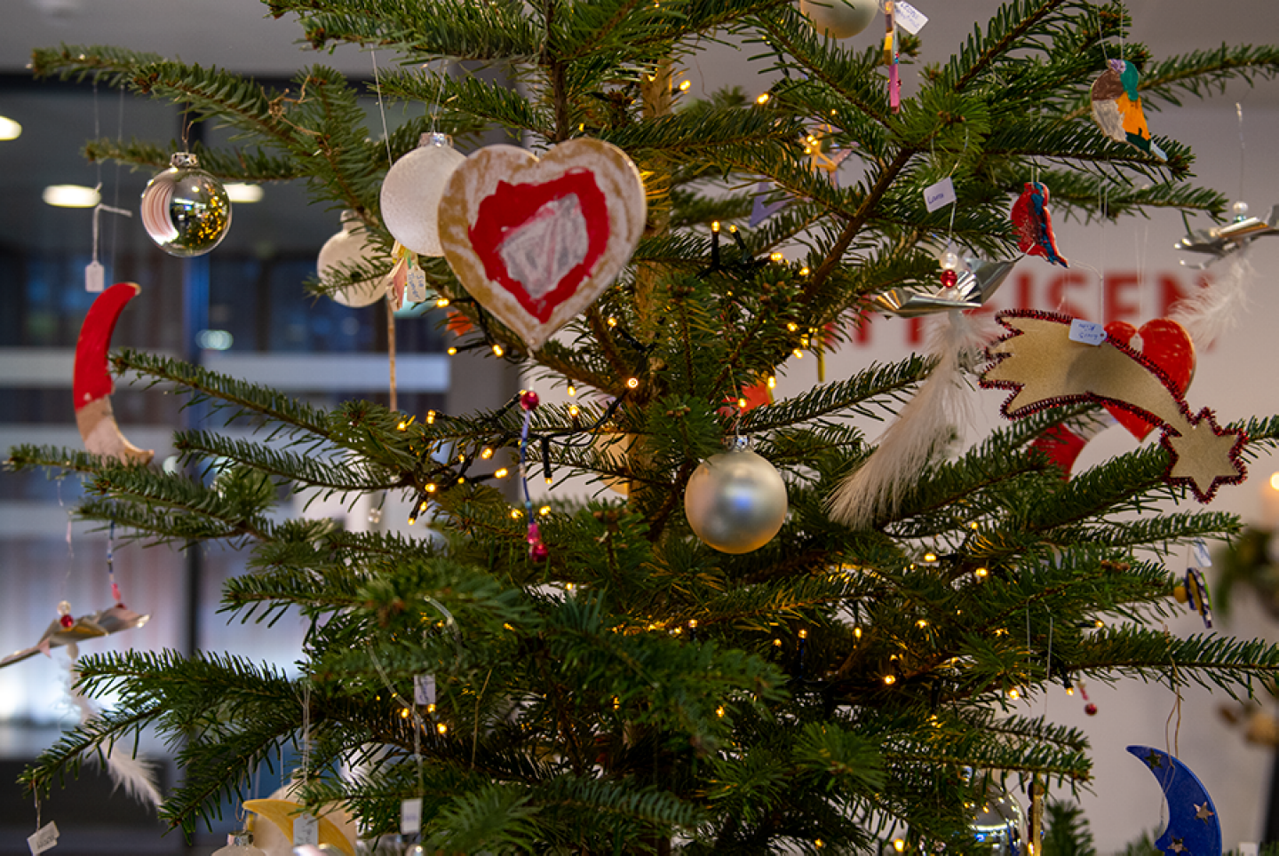 Weihnachtsbaum Möhlin