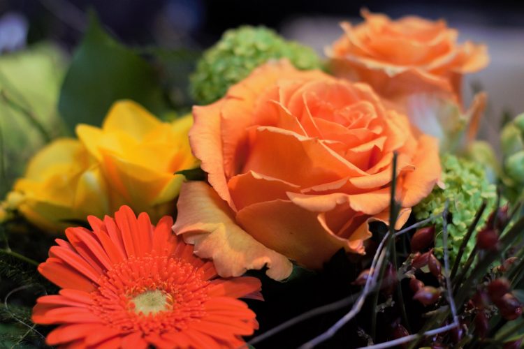 Impressionen aus der GV 2018