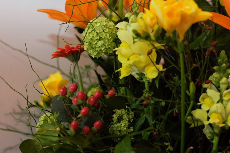 Impressionen aus der GV 2018