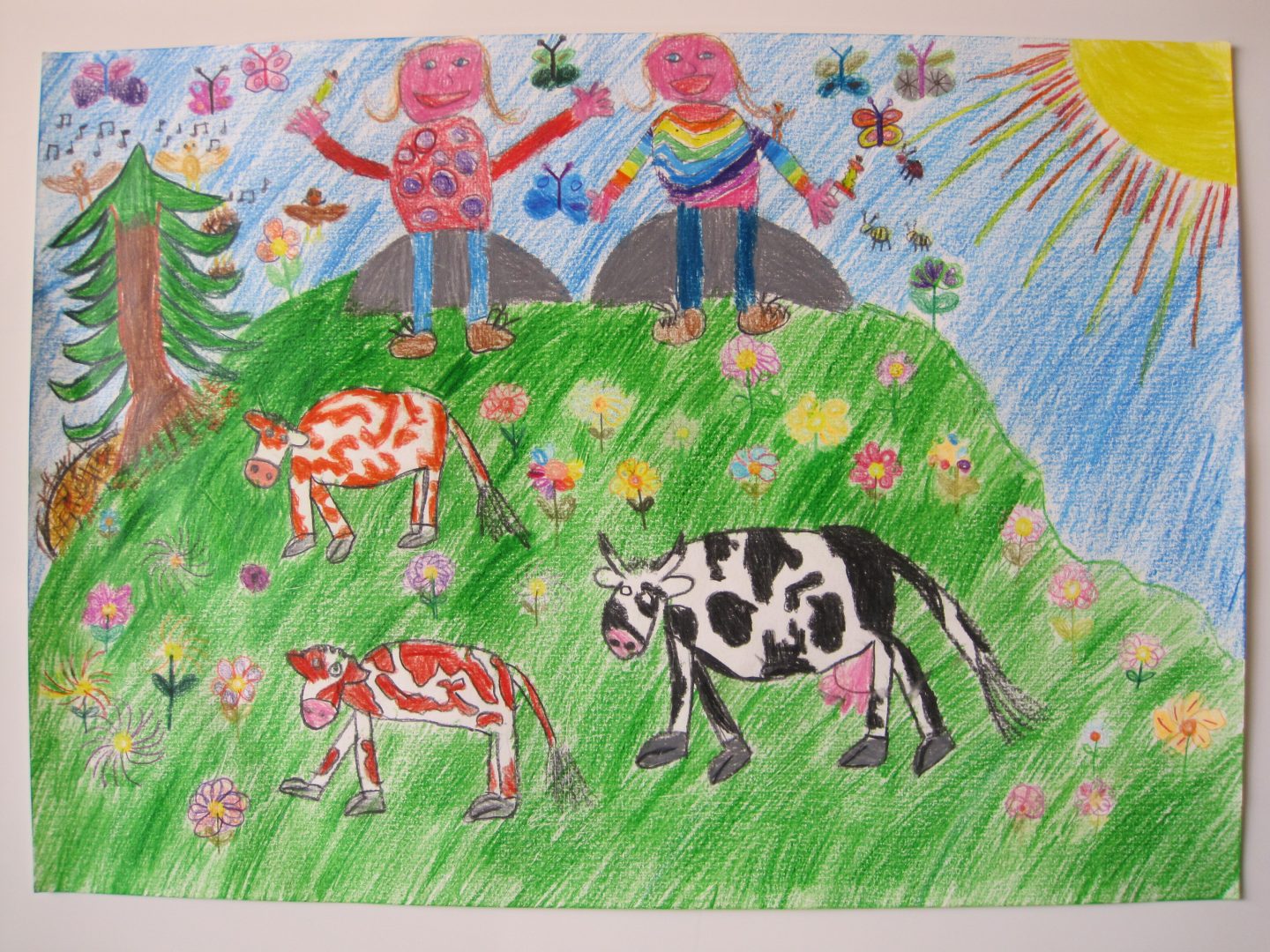 Bild Sonja Abderhalden