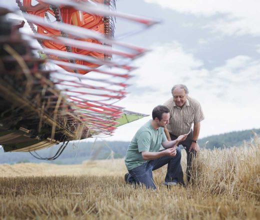 Agriculteurs dans un champ