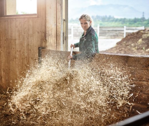 Agricultrice dans une étable