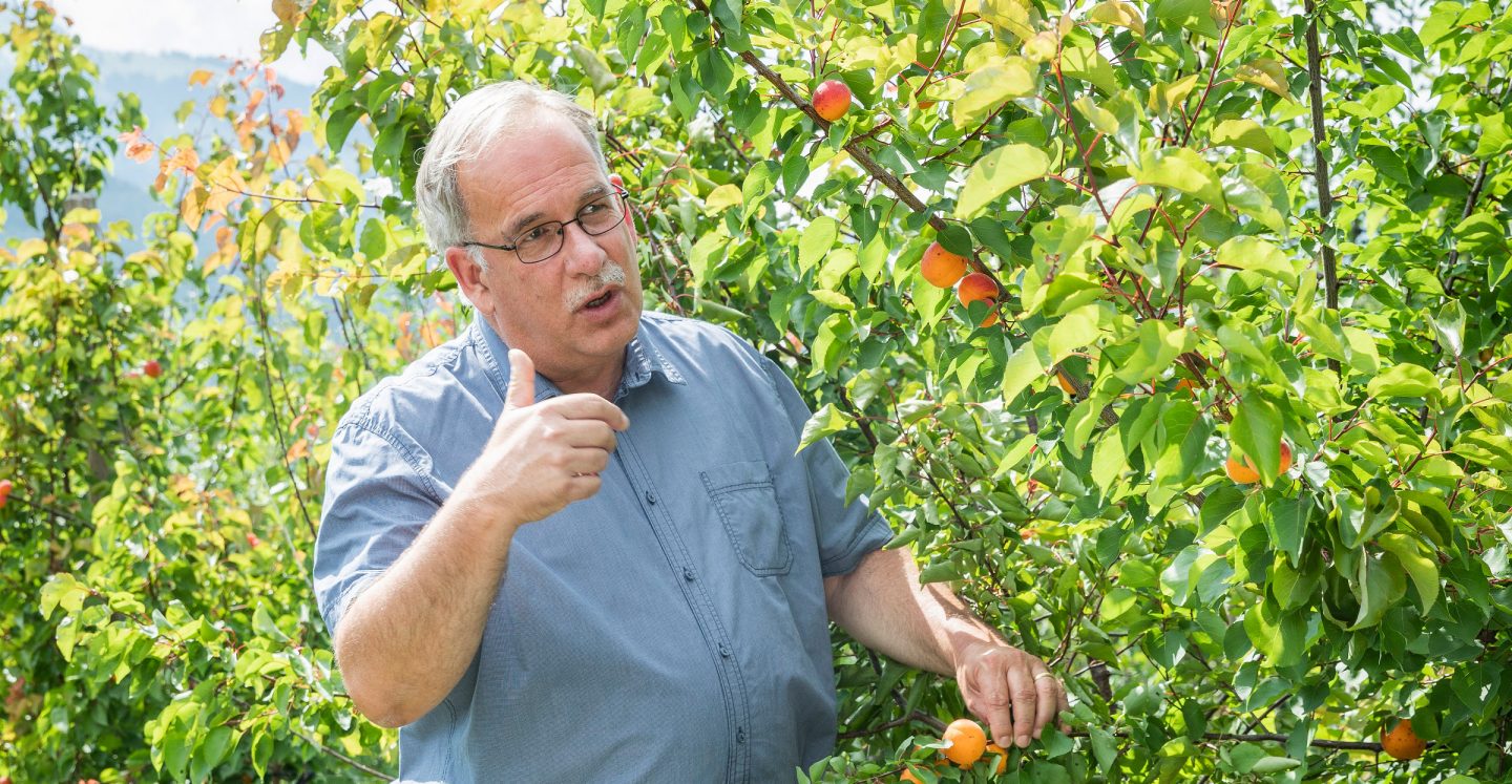 Markus Kobelt vor einem Redlove® Niederstamm-Apfelbaum