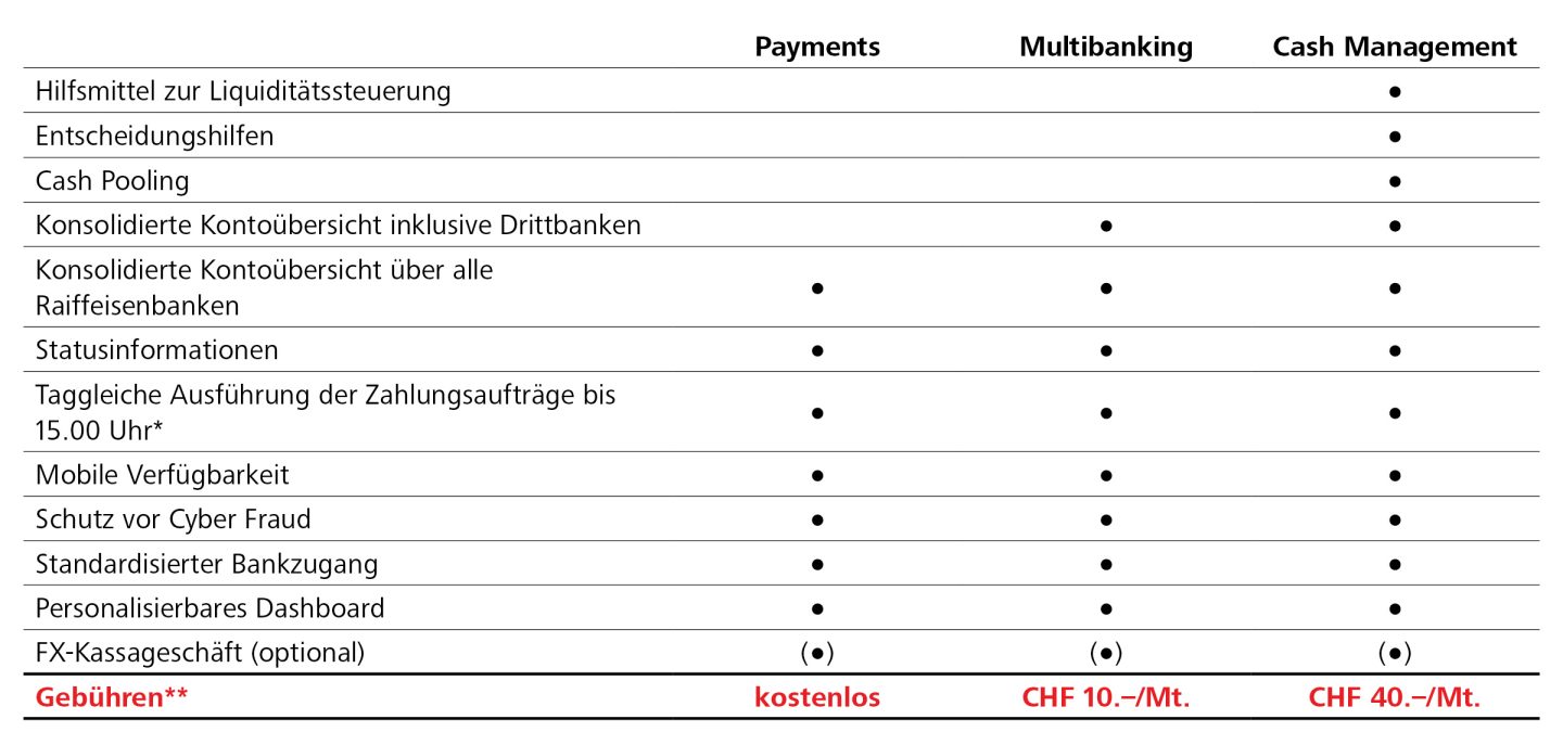 Modulwahl Raiffeisen KMU eServices