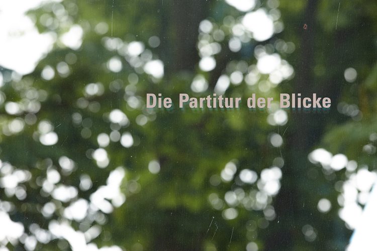 Fenêtre panoramique avec gravure © Photo: Ralph Feiner