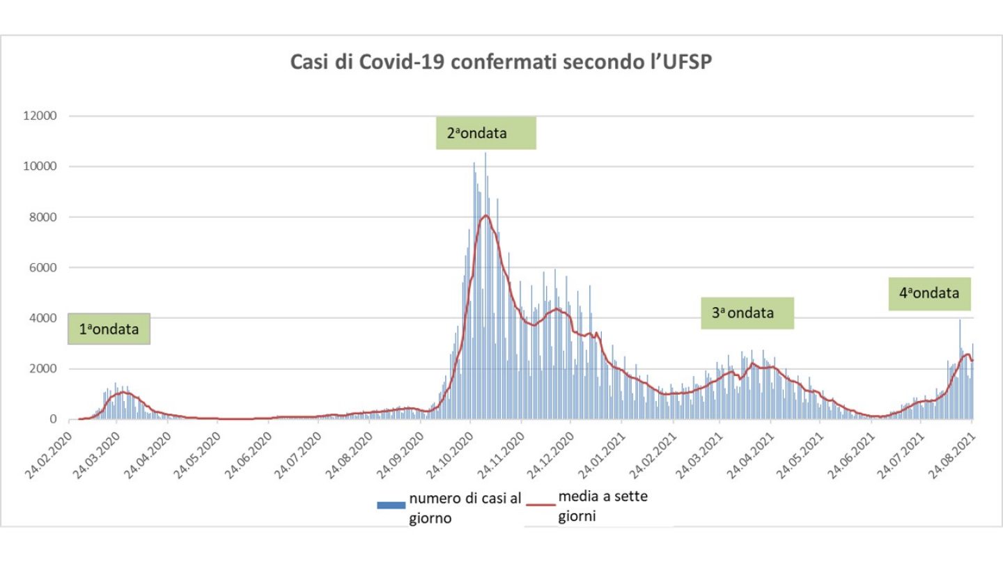 Casi di Covid-19 confermati secondo l'UFSP