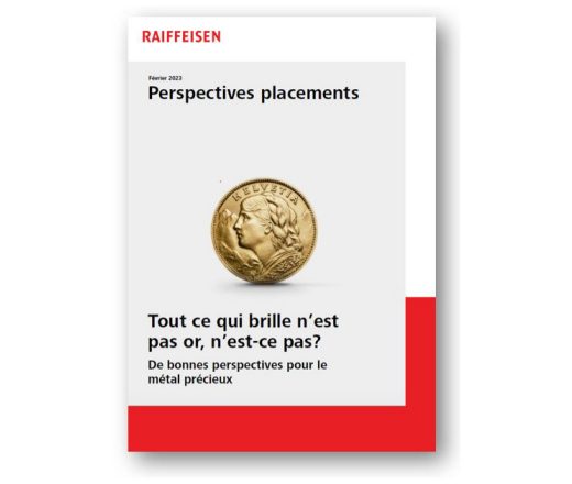 Perspectives placements Janvier 2023