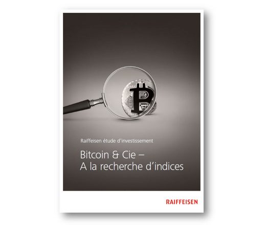 Etude d'investissement: Bitcoin & Cie – à la recherche d'indices