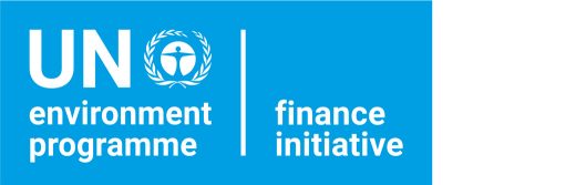 United Nations Environment Programme (UNEP) Finance Initiative (FI)