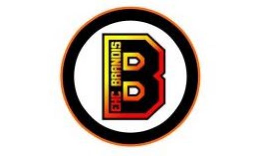 Logo EHC Brandis