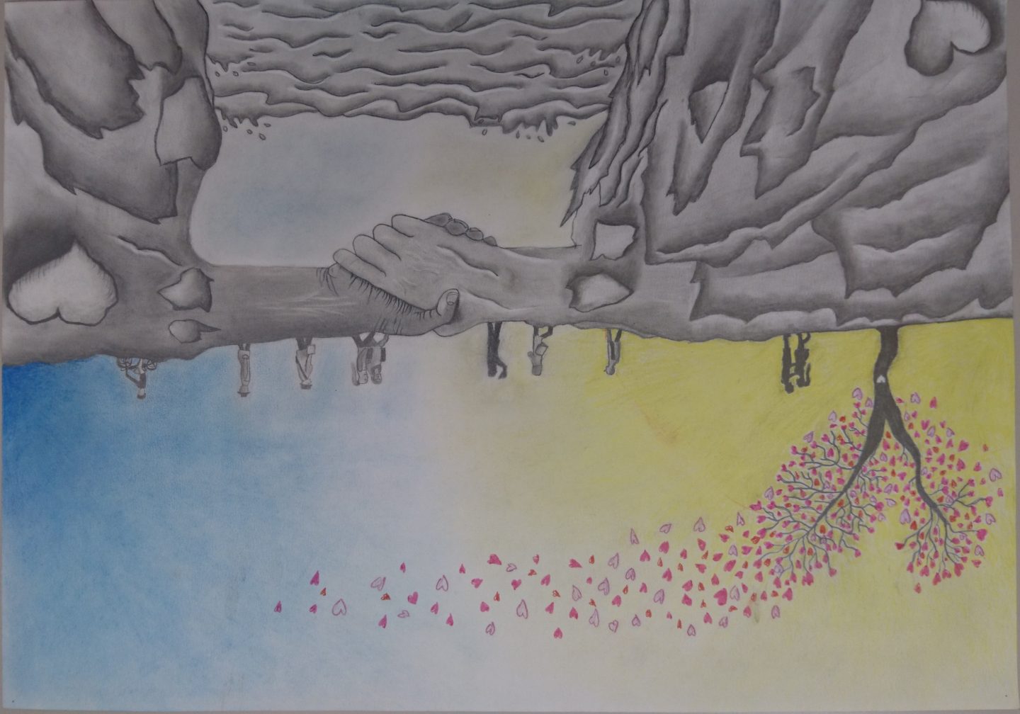 Robin Birrer aus Merenschwand