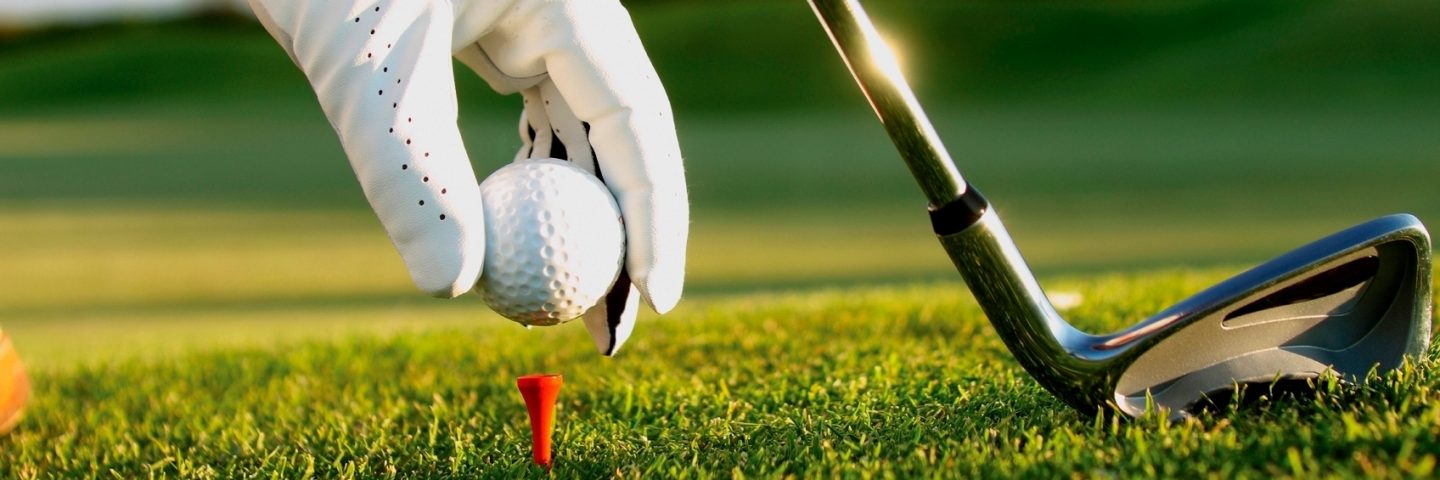 Bild Golfspieler mit Ball und Schläger