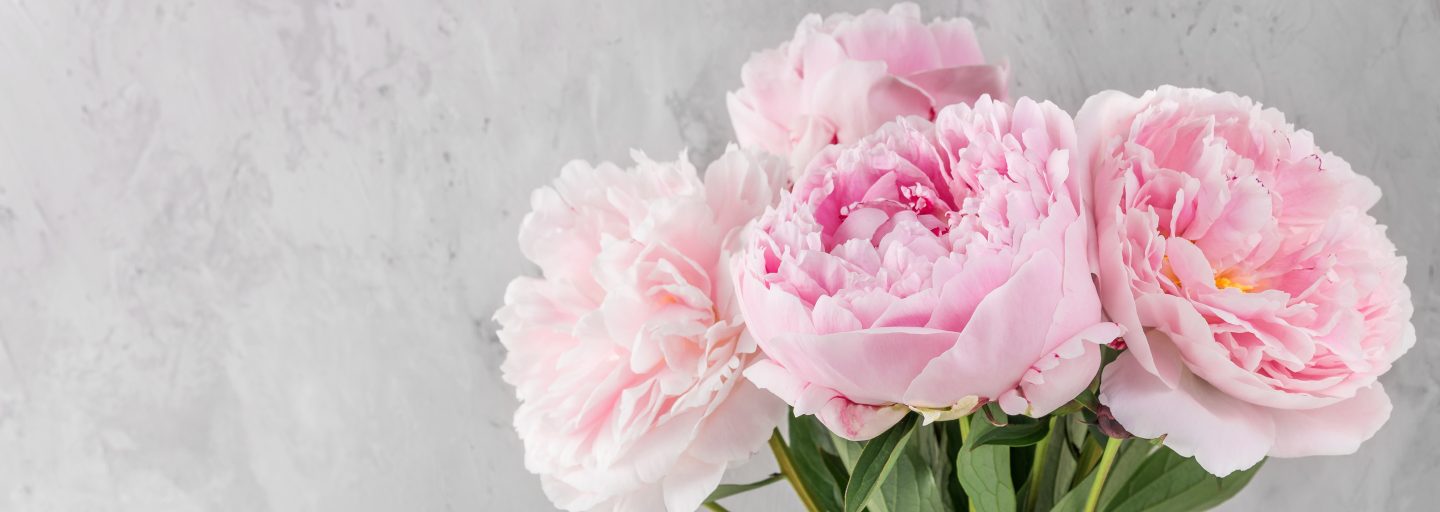 Auffahrt und Pfingsten 2023