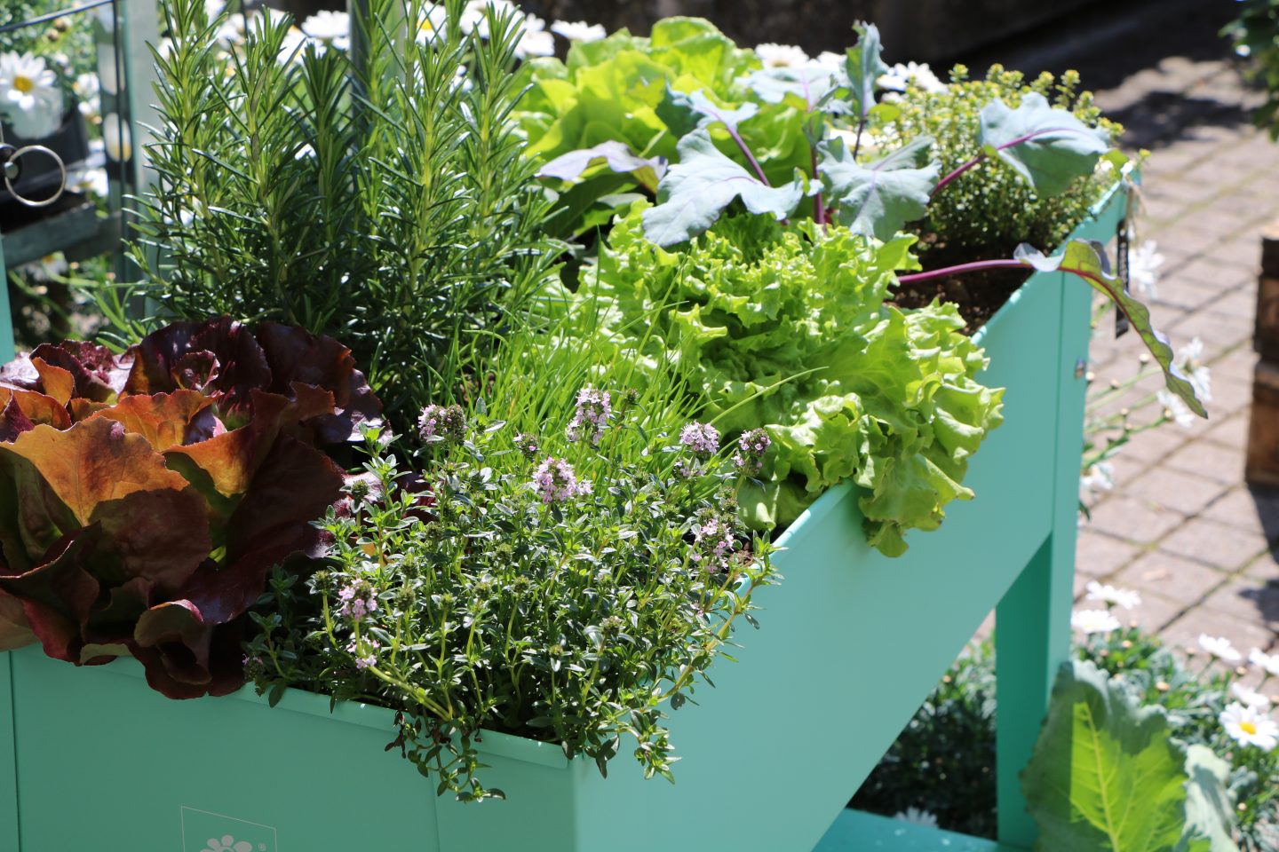 Urbangardening_by_Raschle