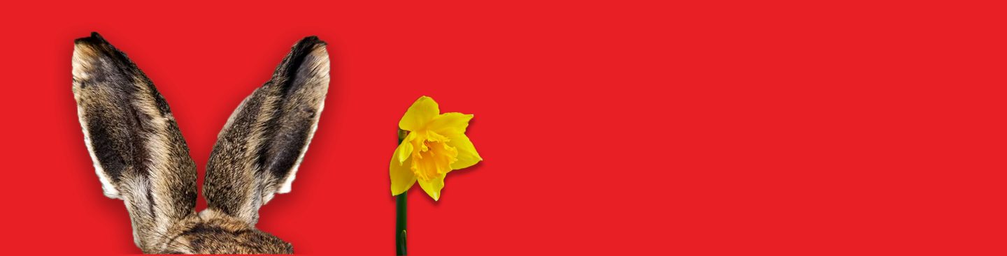 Öffnungszeiten Ostern 2026