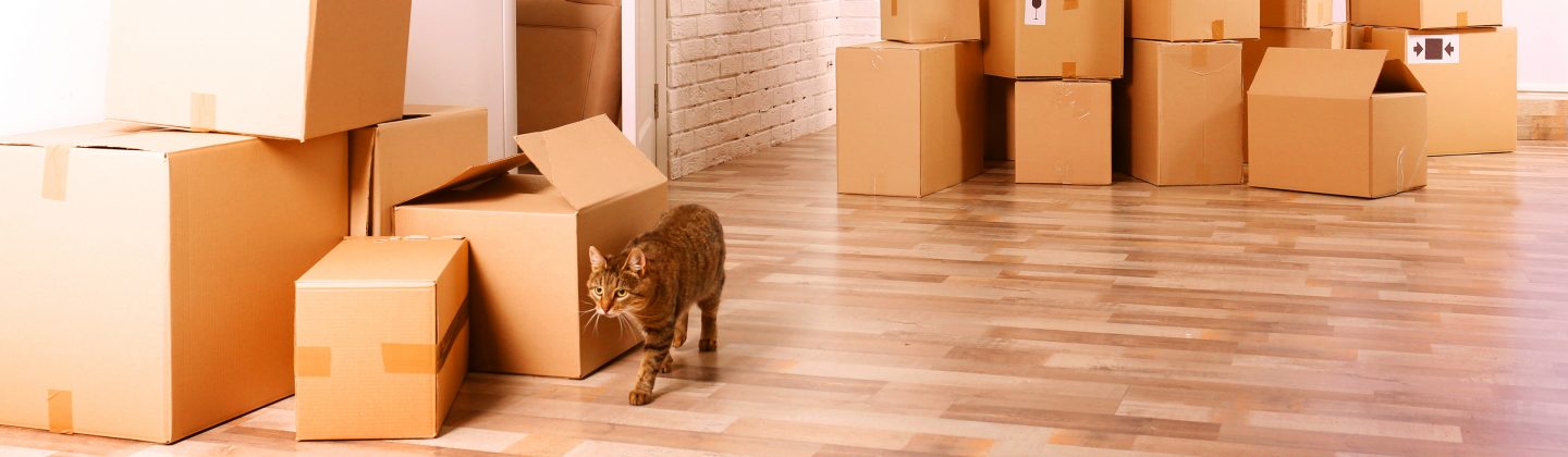 Il trasloco da un appartamento in affitto solleva spesso domande inerenti la responsabilità.