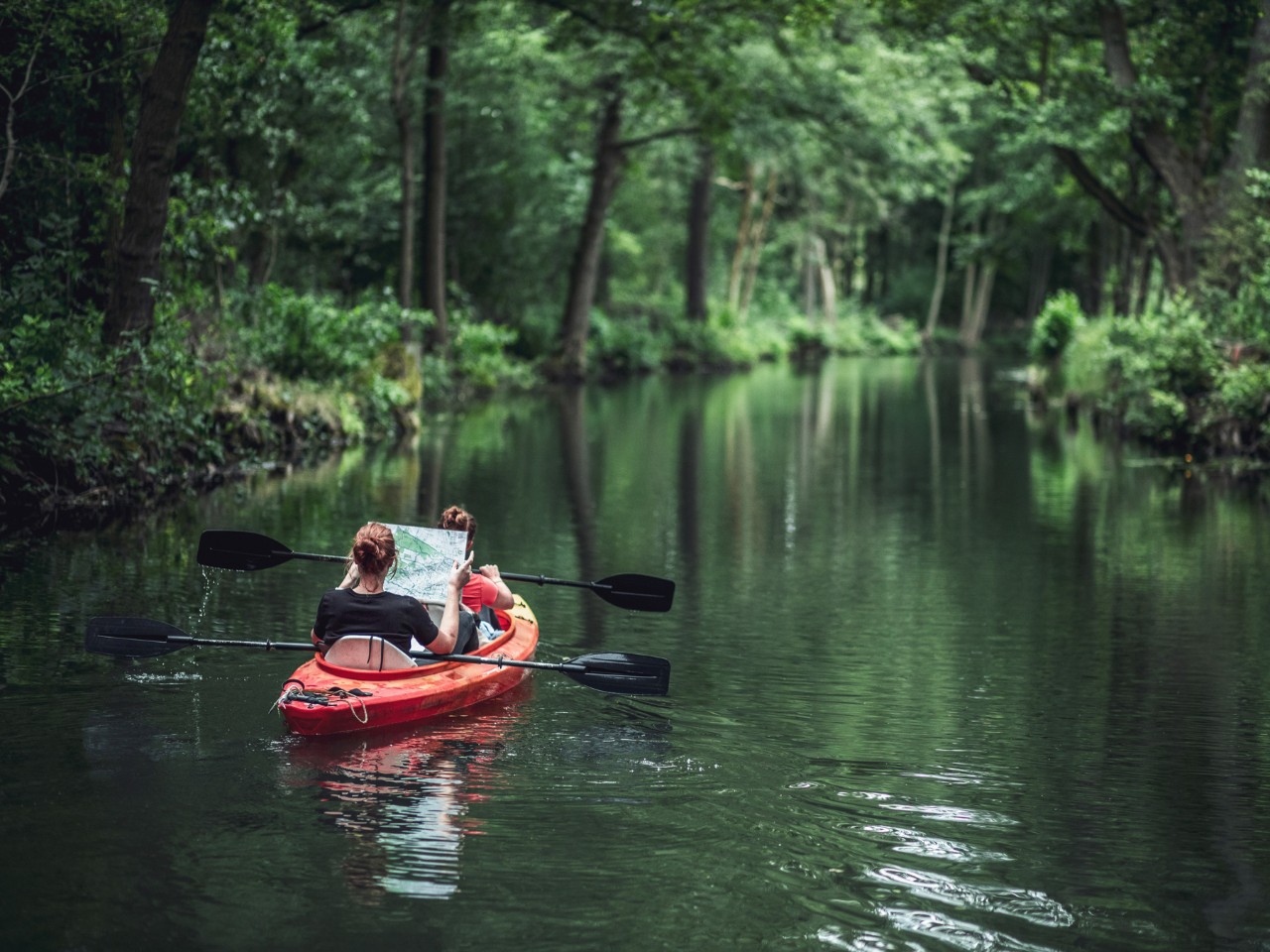 Risikofähigkeit und Risikobereitschaft